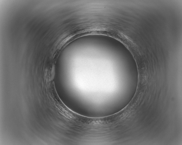 X0000059821169200510211139