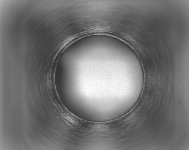 X0000059821170200510211139