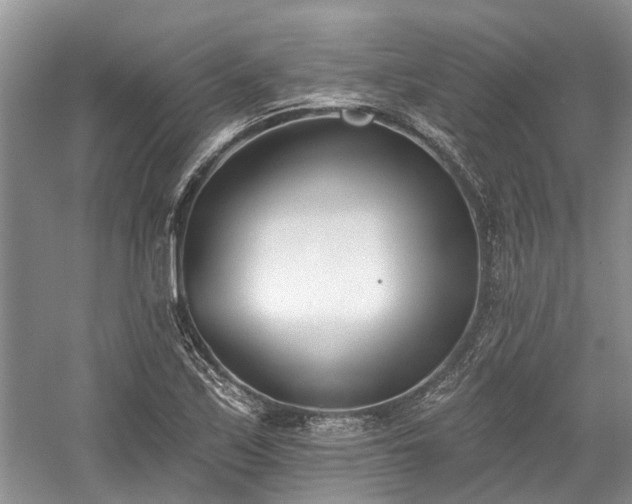 X0000059821171200510211139