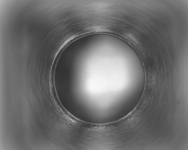 X0000059821182200510211139