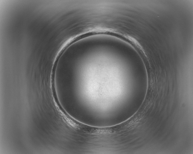 X0000059821183200510211139