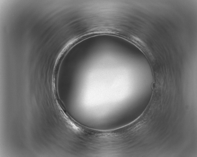 X0000059821188200510211139