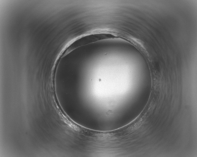 X0000059821192200510211138