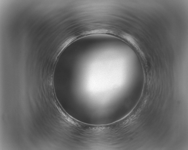 X0000059821193200510211138