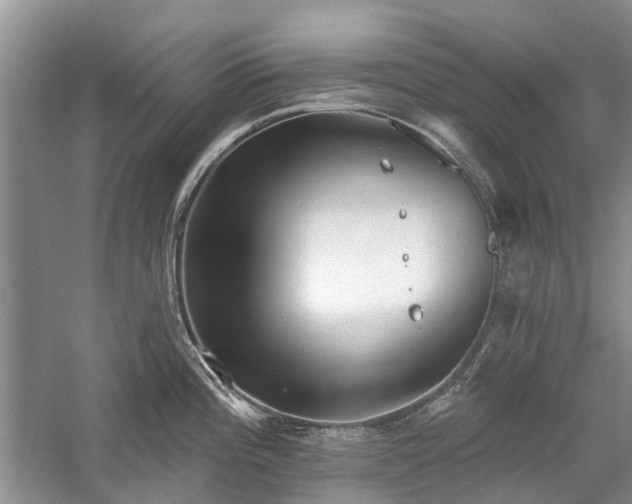 X0000059821196200510211138