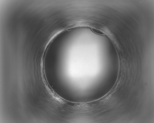 X0000059821198200510211138