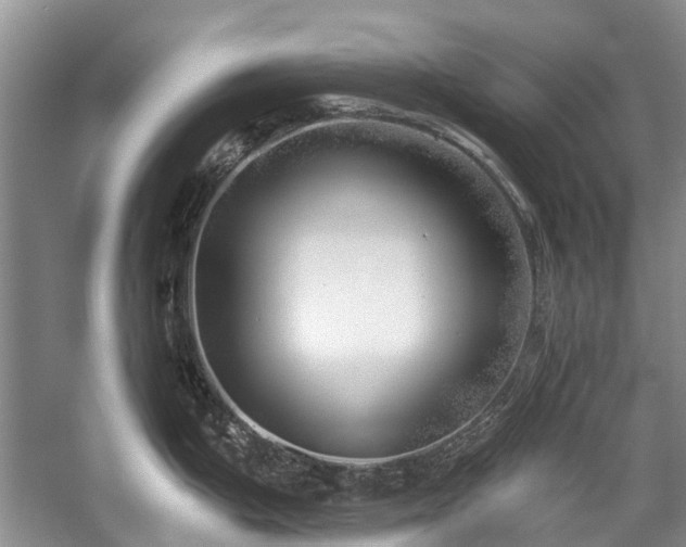 X0000059821199200510211138