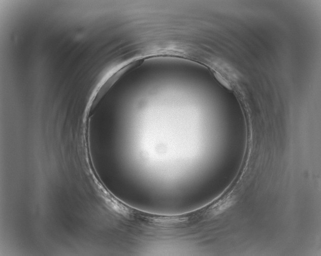 X0000059821200200510211138