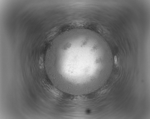 X0000059821203200510211138