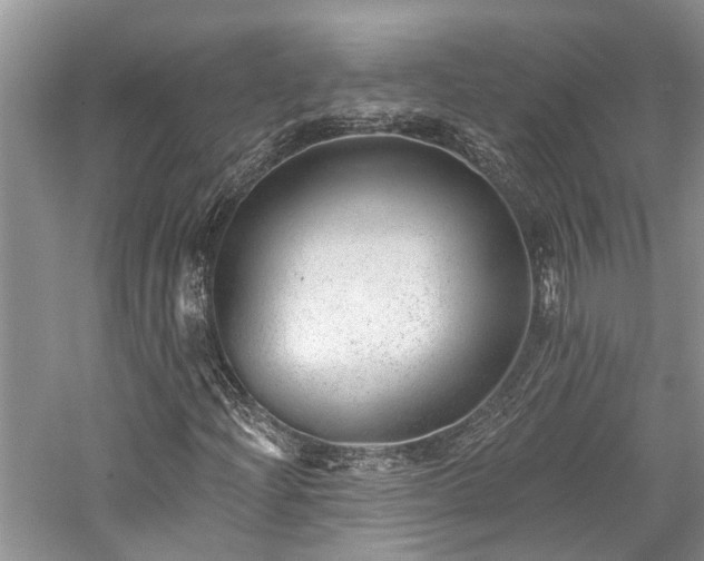 X0000059821204200510211138