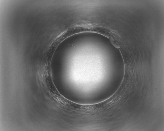 X0000059821205200510211138