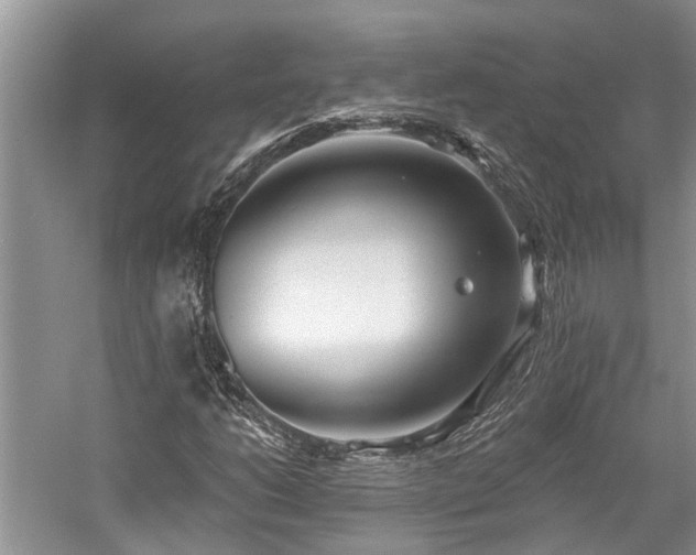 X0000059821206200510211138