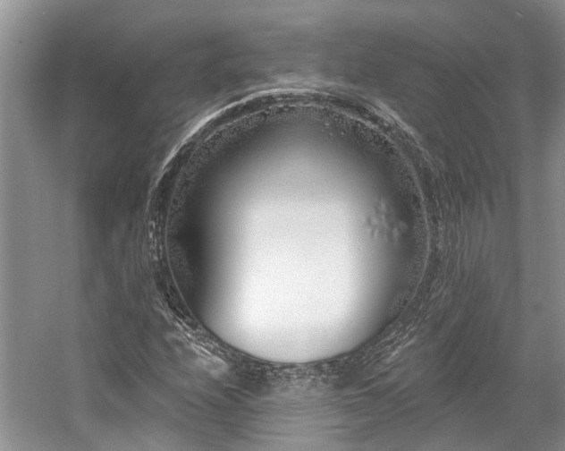 X0000059821208200510211138