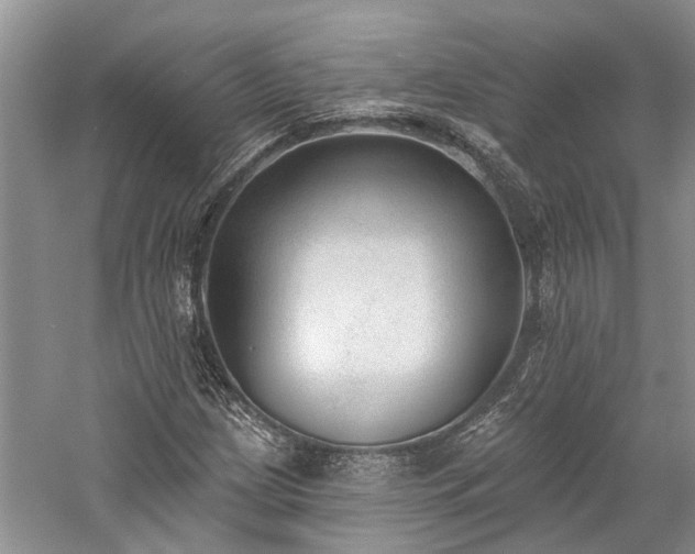 X0000059821209200510211138