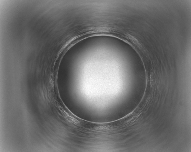 X0000059821212200510211138