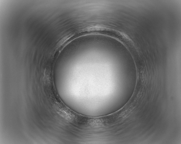 X0000059821217200510211138