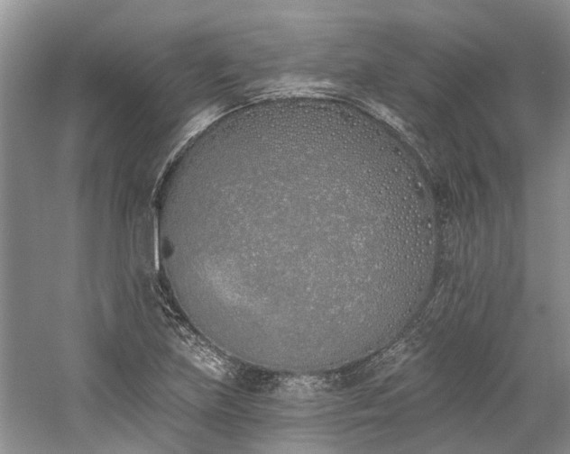 X0000059821219200510211138