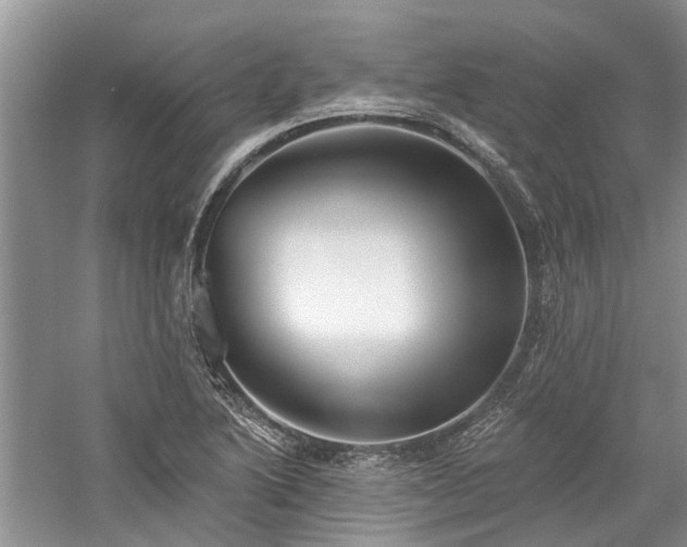 X0000059821222200510211138