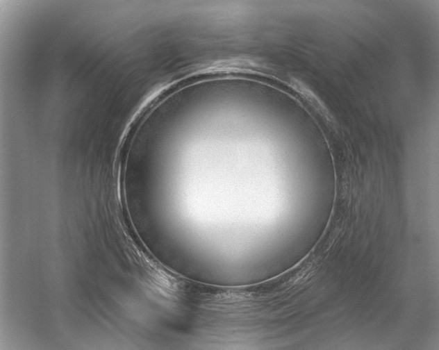 X0000059821224200510211138