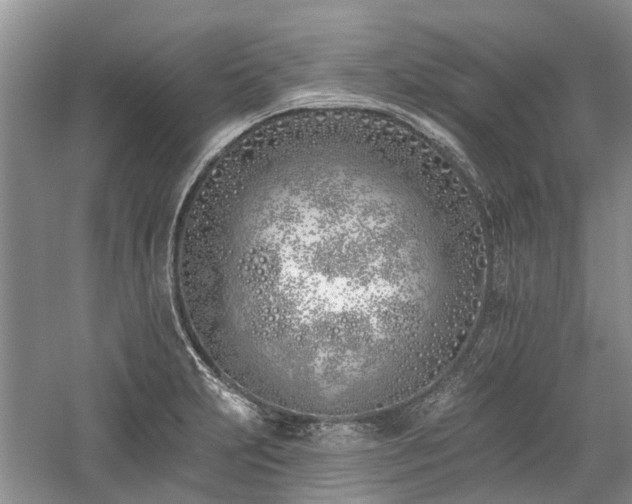 X0000059821231200510211138