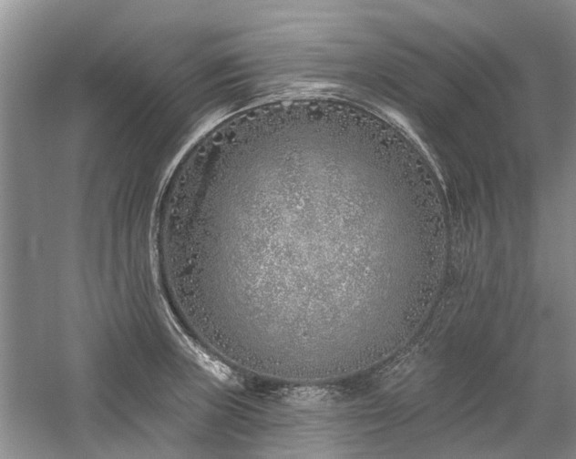 X0000059821235200510211138