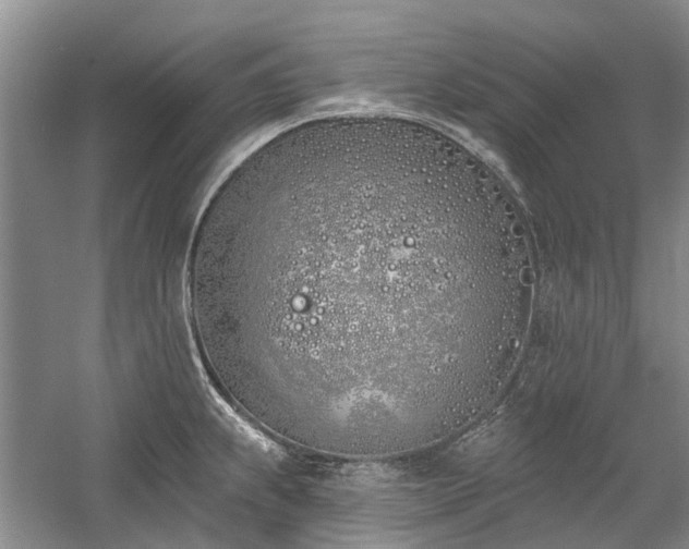 X0000059821239200510211138