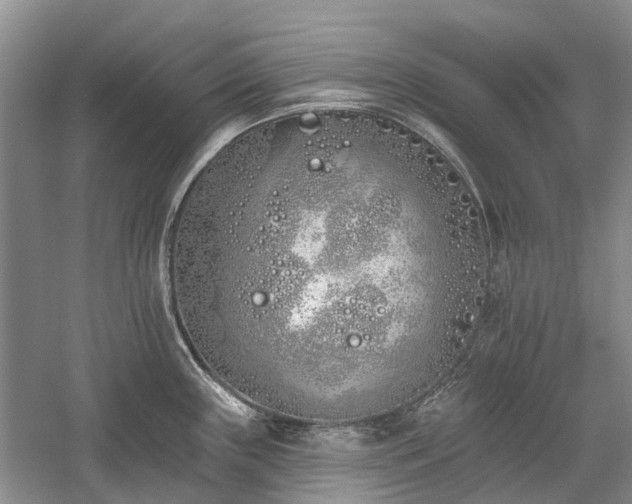 X0000059821243200510211138