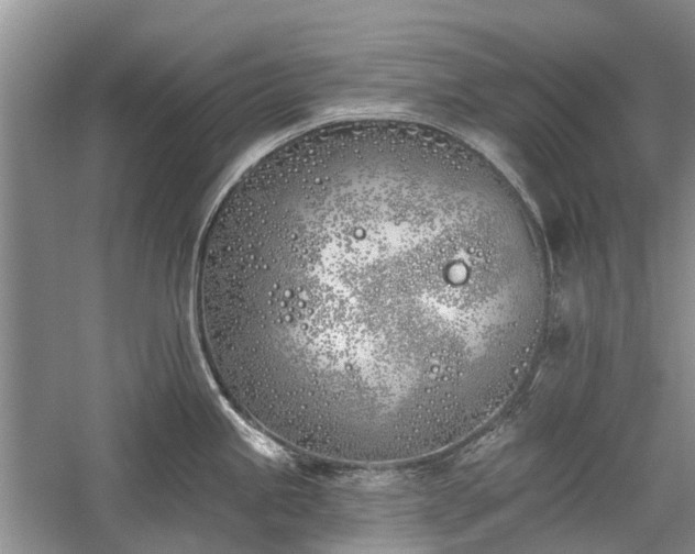 X0000059821245200510211138