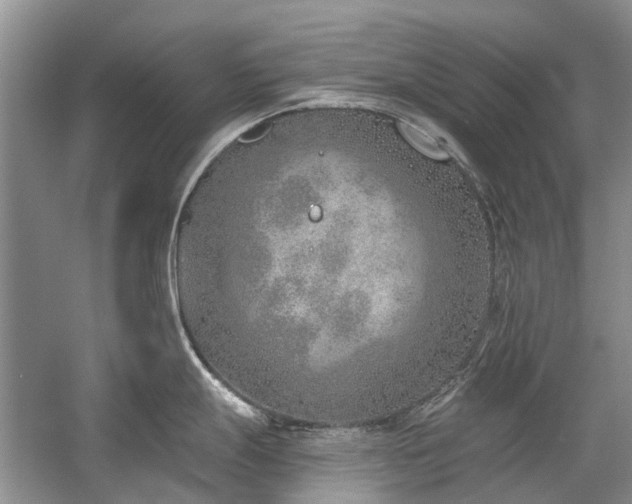 X0000059821247200510211138