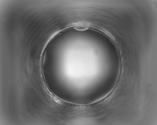 X0000059821248200510211138