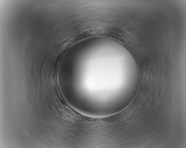 X0000059821250200510211137