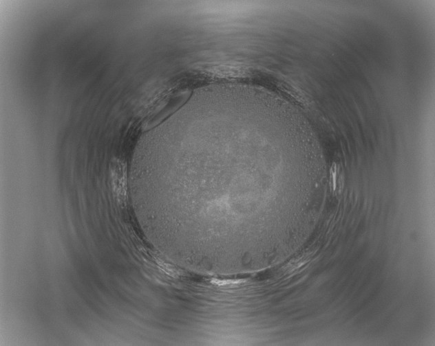 X0000059821251200510211137