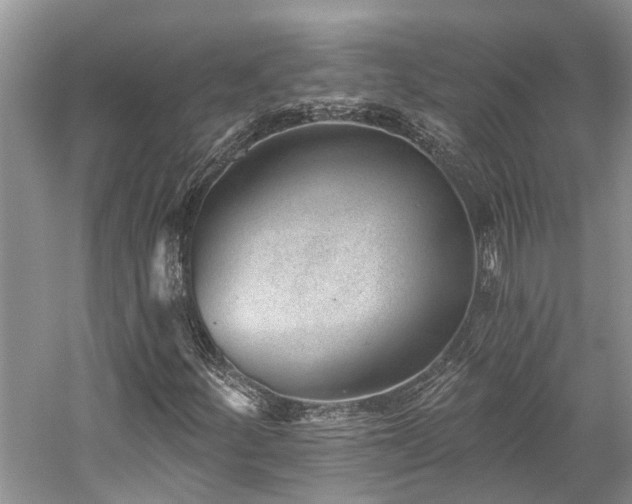 X0000059821252200510211137