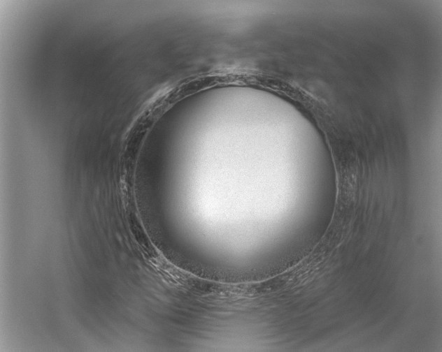 X0000059821254200510211137