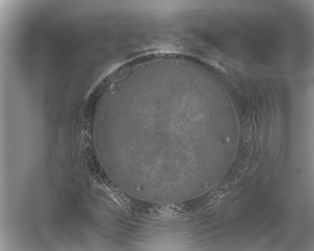 X0000059821255200510211137