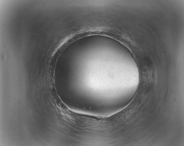 X0000059821256200510211137