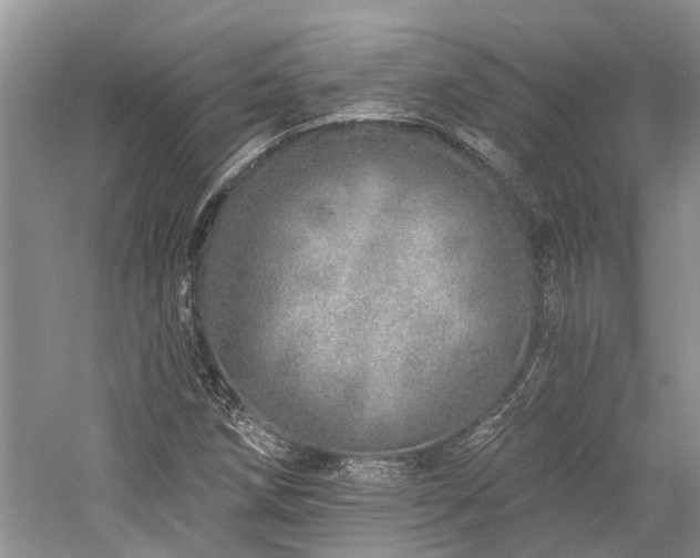 X0000059821258200510211137