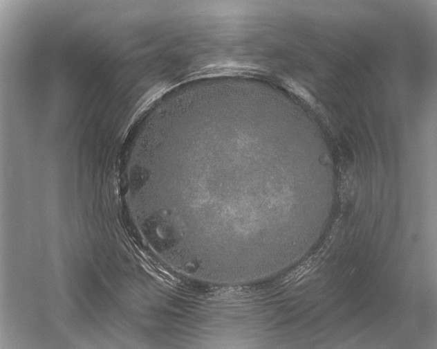 X0000059821259200510211137