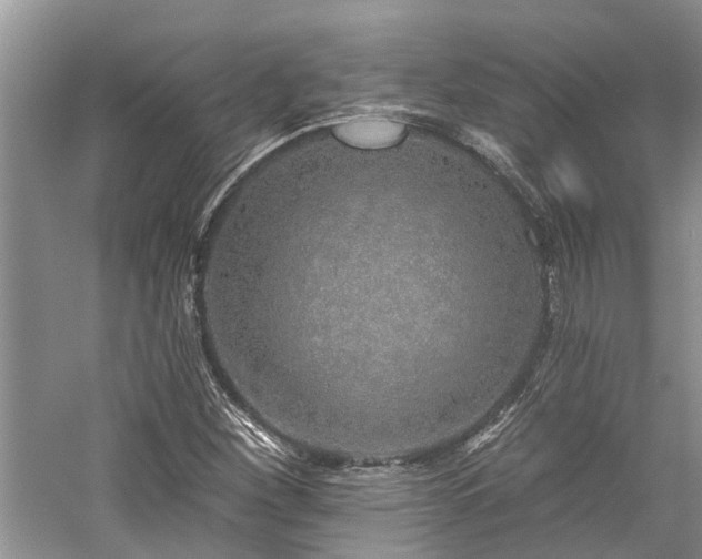 X0000059821260200510211137