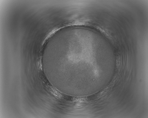 X0000059821262200510211137