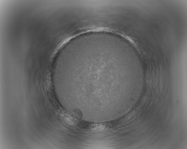 X0000059821263200510211137