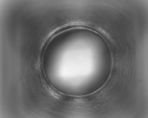 X0000059821264200510211137