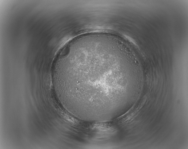 X0000059821267200510211137