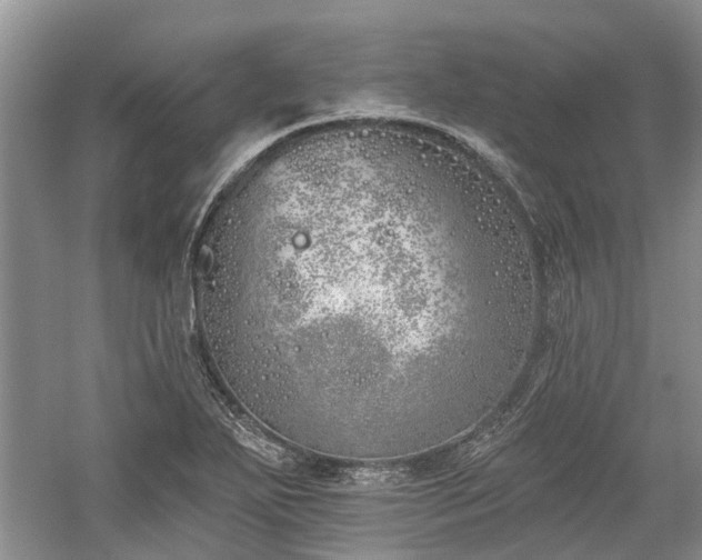 X0000059821271200510211137