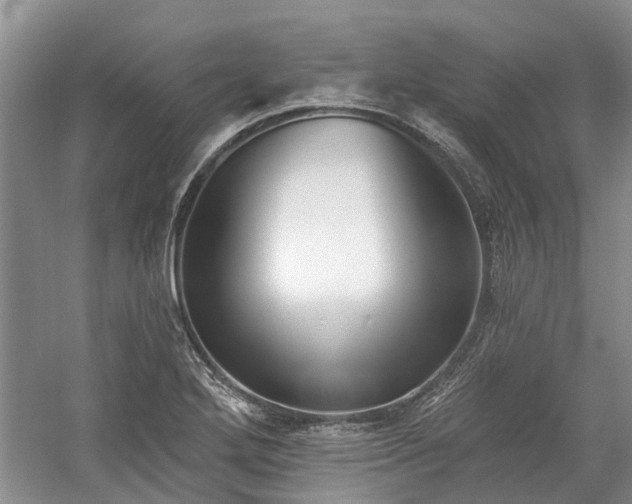 X0000059821272200510211137