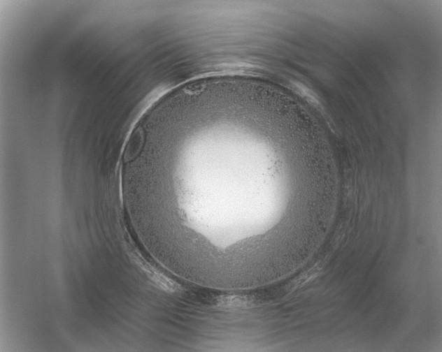 X0000059821275200510211137