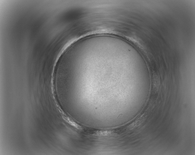 X0000059821278200510211137