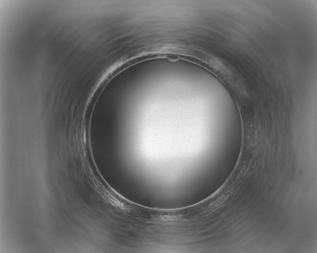 X0000059821280200510211137