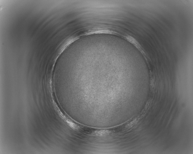 X0000059821282200510211137