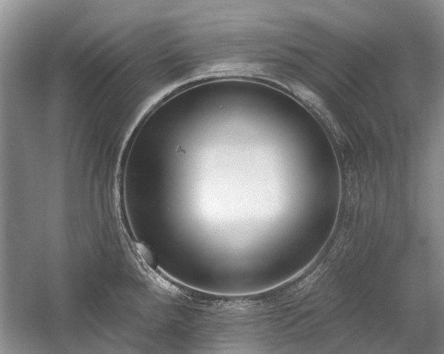 X0000059821288200510211137